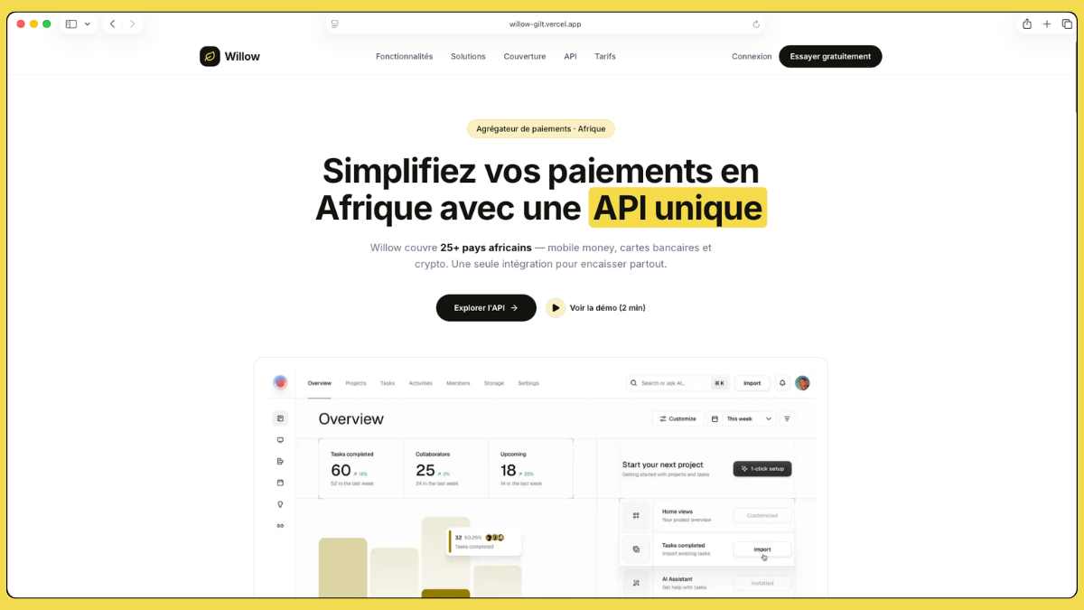 Willow — Paiements Afrique